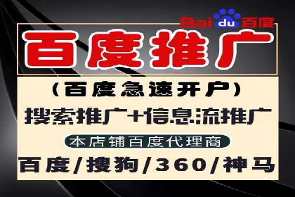 行业领先的SEM投放效果案例解析